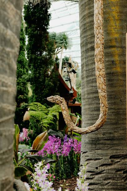 istock Snake sculpture in vibrant tropical garden. 2180155358