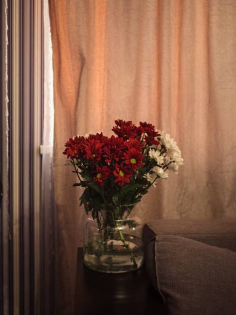 The photo of a charming autumn home decor arrangement. Crimson and white chrysanthemums burst from a vase, their vibrant colors beautifully contrasting against the soft, pastel peach curtain in the background. The rich crimson petals bring warmth and depth, while the delicate white blooms add a touch of freshness. The gentle folds of the peach curtain create a cozy, serene atmosphere, highlighting the natural beauty of the flowers. This elegant floral display embodies the essence of autumn, infusing the space with warmth and seasonal charm.