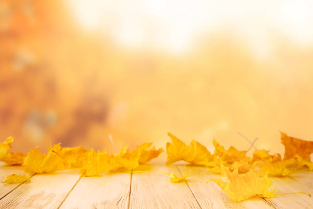 istock Autumn empty wooden table with falling yellow maple leaves on defocused autumn forest nature background at sunset. Thanksgiving, Halloween or autumn background with copy space. 2180157011