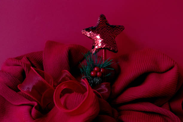 close up of poinsettia flower with sunlight