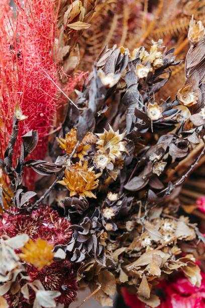 istock Vibrant dried flowers close-up 2180159282