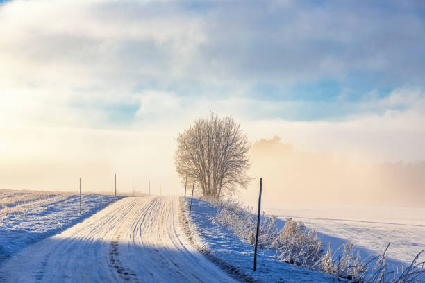 istock Fog and snow by a road in winter 2180164740