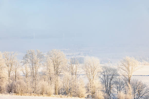 Frosty trees a cold winter day in the countryside