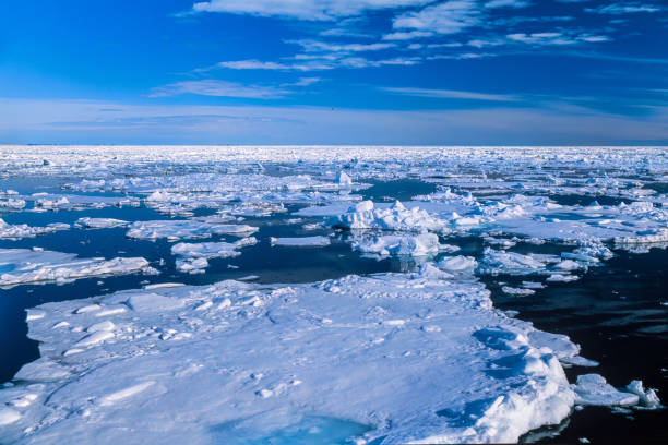 istock Ice floe floating in the Arctic ocean 2180164836