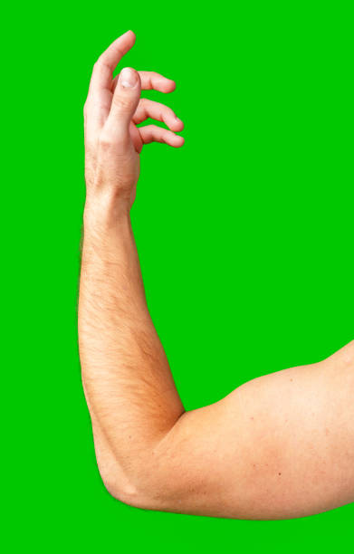 istock human arm gesturing with raised fingers against a bright green backdrop 2180165535