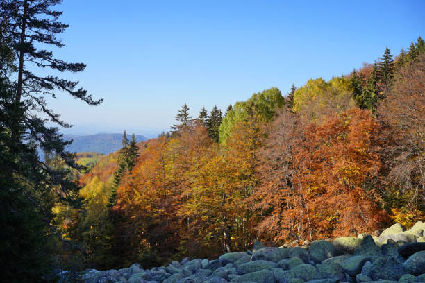 Wide view of forests on Vitosha and Lyulin mountains , Bulgaria.