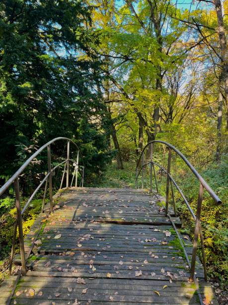 istock autumn atmosphere park in autumn bridge 2180166717