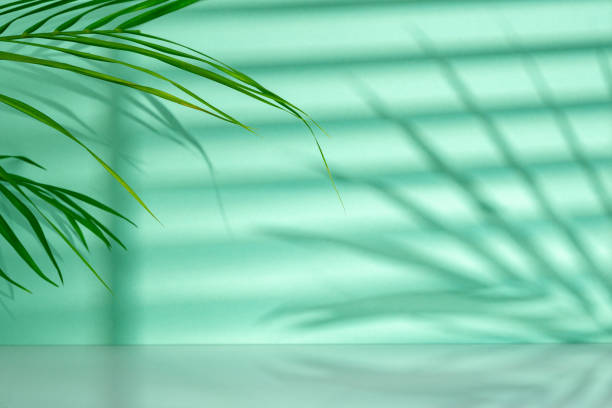 istock Tropical leaves palm tree on a mint background 2180172557