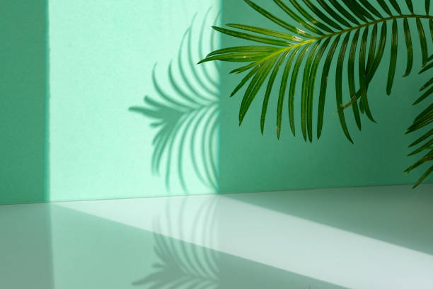 istock Porcelain mug and palm leaf against mint background 2180172638