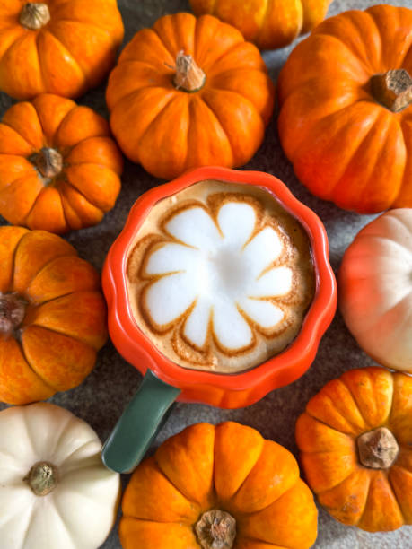istock Full frame image of orange, pumpkin design coffee mug containing pumpkin spiced latte with milk froth art design surrounded by mixed munchkin pumpkins and small ornamental gourds, white and orange squashes, mottled grey-brown background, elevated view 2180181944
