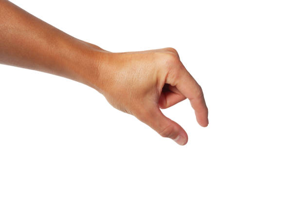Hand holding something isolated on white background
