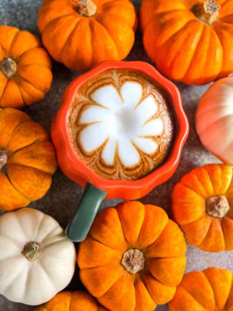 istock Full frame image of orange, pumpkin design coffee mug containing pumpkin spiced latte with milk froth art design surrounded by mixed munchkin pumpkins and small ornamental gourds, white and orange squashes, mottled grey-brown background, elevated view 2180183243