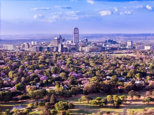 istock Sandton City with Jacaranda trees in blossom 2180186592