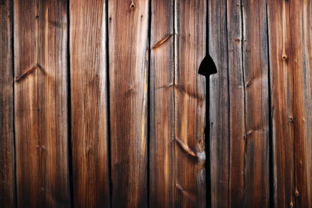 Old electrical light switch and cable on worn wooden shed exterior wall, copy space included