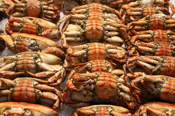 istock fish market in Stockholm, Baltic fish 2180188040