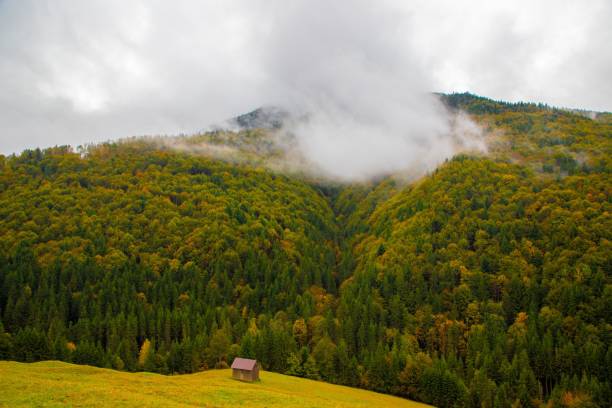 Scenic view of a lush green forested mountain with low clouds and a small cabin in the foreground.