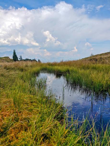 istock Serene meadow with tranquil pond and vibrant sky 2180194987