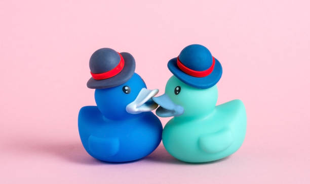 Two blue rubber ducks in hats are kissing on pink background.