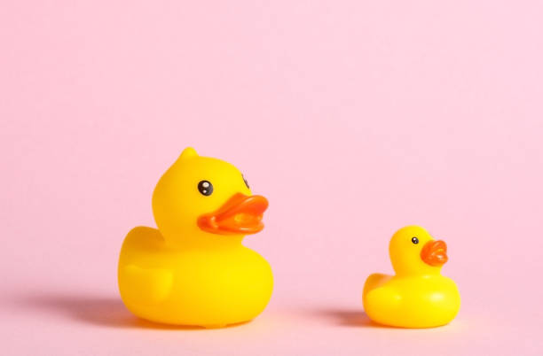 Big and small yellow rubber ducks on pink background stock photo