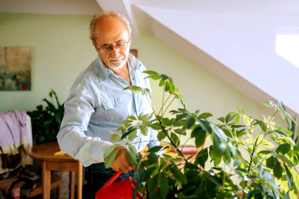 istock Senior man watering plant at home 2180199246