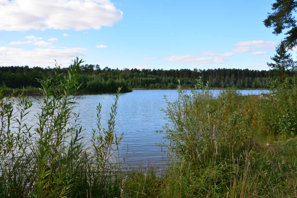 istock a lake with a duck in it and a blue sky with clouds in the background 2180200480
