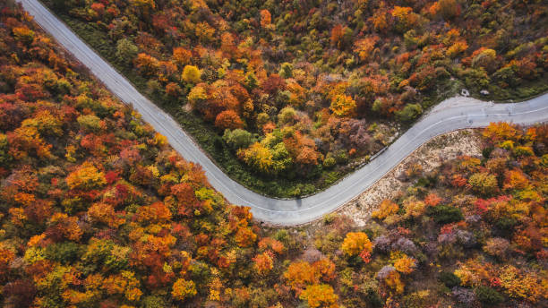 istock Scenic Curvy Road Through Vibrant Autumn Forest Landscape 2180205602