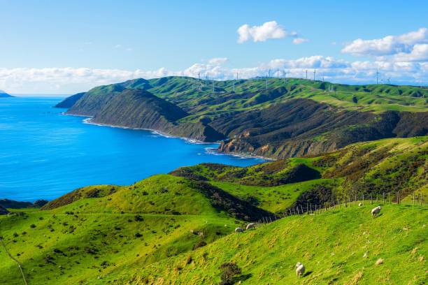 istock Coastal landscape with green hills and ocean. 2180206094