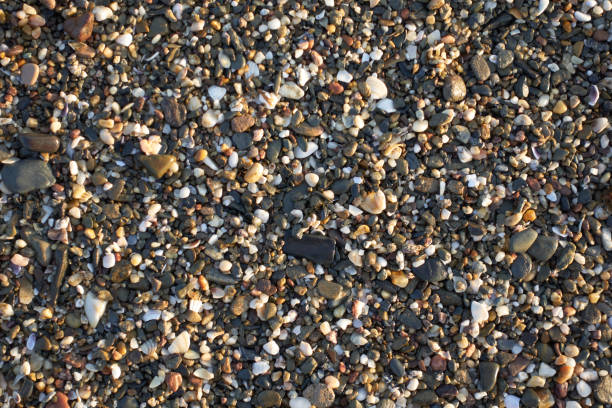 Detail of a diverse collection of small pebbles and shells on the wet seashore of a beach with variety of colors, shapes, and textures of natural elements
