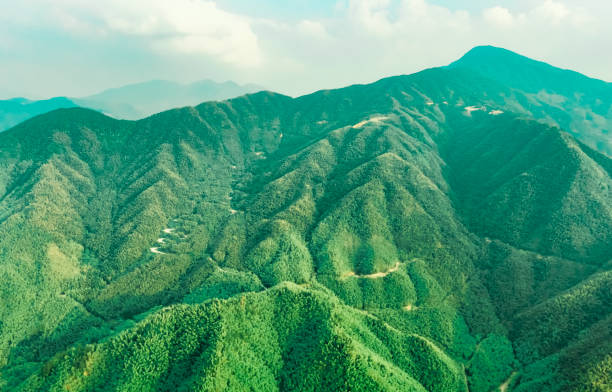 Green mountains and forests