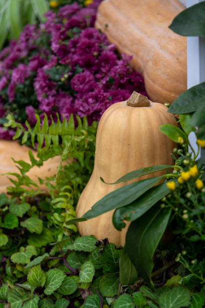 istock Pumpkin city street decoration 2180213175