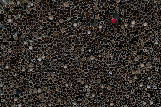Close-up view of brown textured pile of cuted bamboo logs and one bottle with red bottle cap. Organic construction material. Copy space for your text or decoration. Eco building theme.