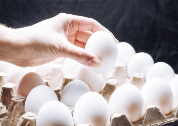 istock A hand delicately reaches for an egg inside a carton, symbolizing the eternal quest for creation and the fragility of existence. 2180219349