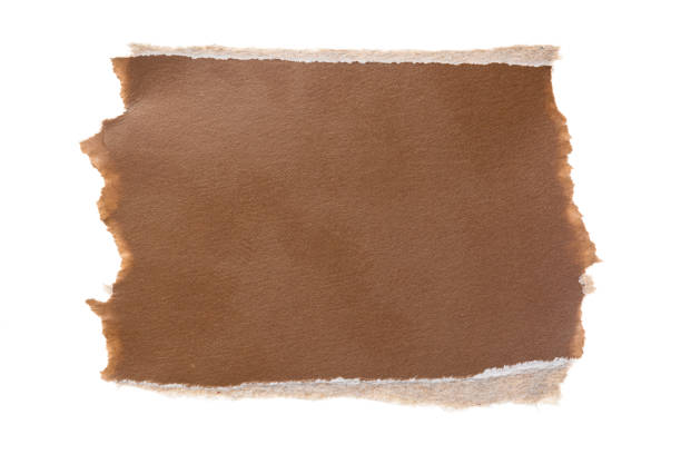 istock Brown ripped paper torn edges piece isolated on white background 2180221284