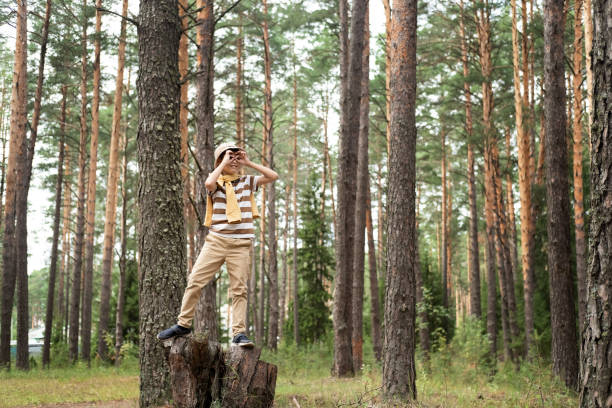 A boy in the forest stands on a stump and looks through binoculars from his hands