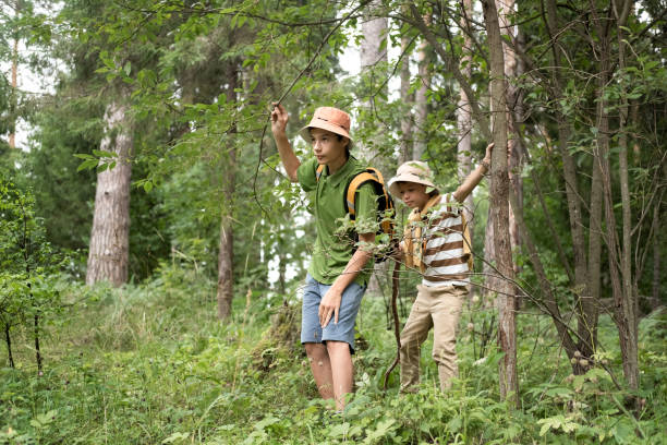 istock Children on a hike in the forest. 2180223239