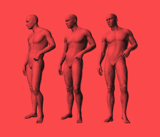 istock Models of standing people in different poses. 3D human body model. Vector for brochure, flyer, presentation, logo or banner. 2180225953