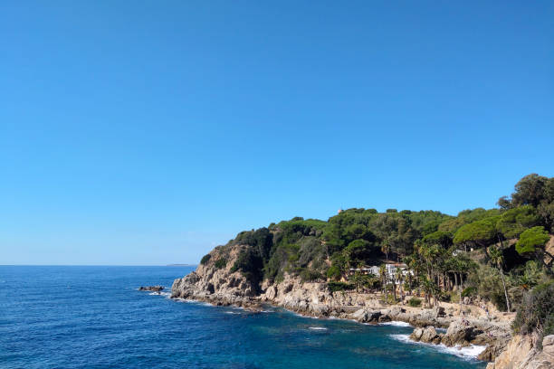 istock Coastal Landscape with Lush Greenery and Rocky Shoreline on a Clear Day 2180237766