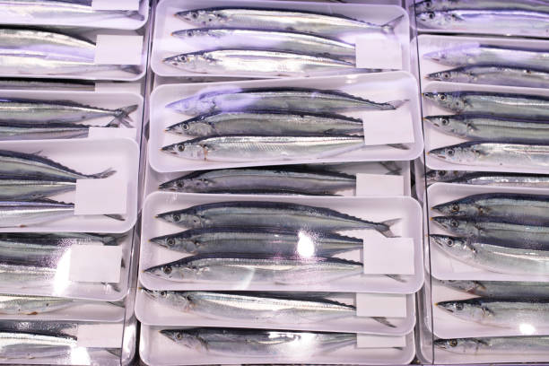 istock A lot of pacific saury in a pack 2180240815