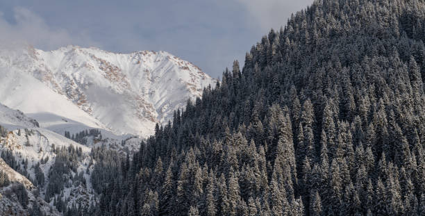 istock Foothills and mountains covered with snow and fir tree 2180242892