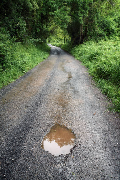 istock Large pothole filled with water on a road between forests 2180245597