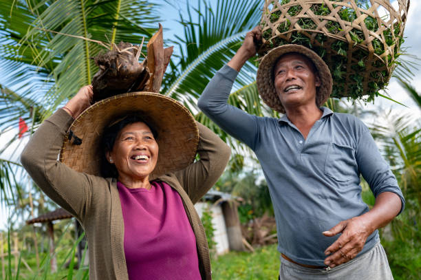 istock Happy farmers working at a rice plantation 2180248078