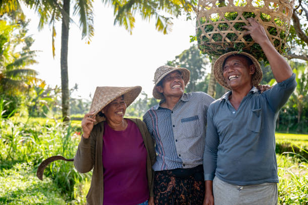 istock Happy farmers smiling while working at a rice plantation 2180248079
