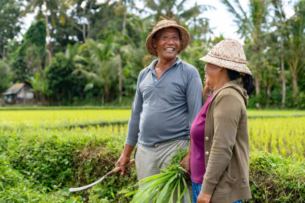 istock Happy farmers working at a rice plantation 2180248129
