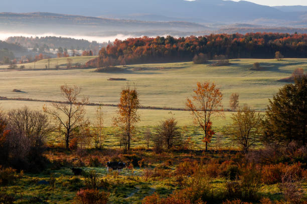 istock Mist rises in early autumn rural Vermont hills 2180249199