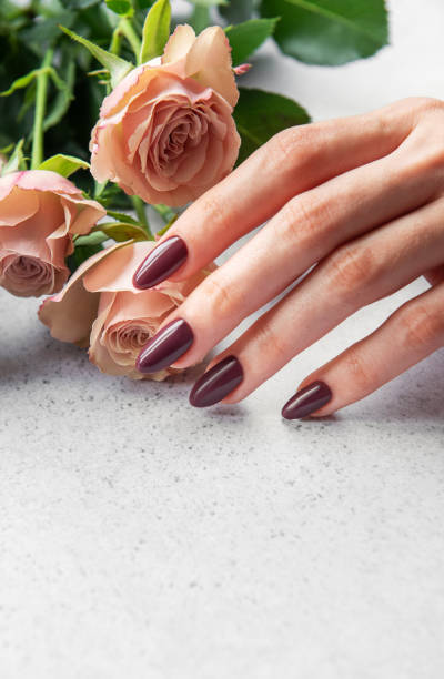 istock Elegant hand with dark manicure resting beside delicate pink roses on a light surface 2180249969