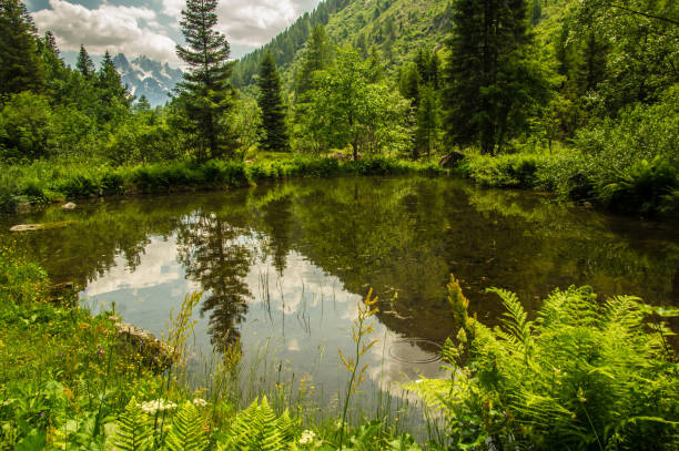 pass of montets in chamonix in haute savoie in france