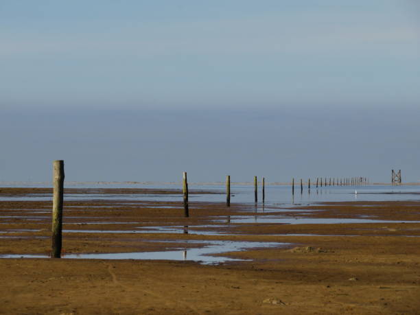 istock Wadden sea national park 2180251872