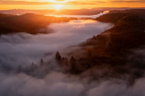 istock Sunrise over foggy forest landscape 2180253432