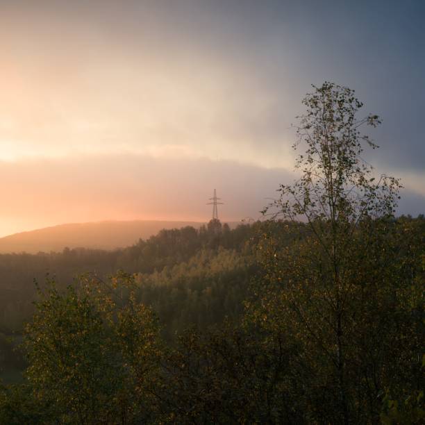 Scenic view of a misty forest landscape with a power line at sunrise, capturing the serene beauty of nature and technology.
