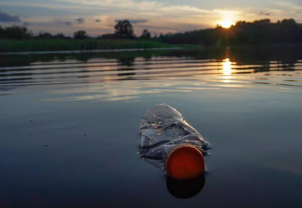 istock Plastic waste in lake. Ocean pollution, marine debris. Marine litter 2180254355